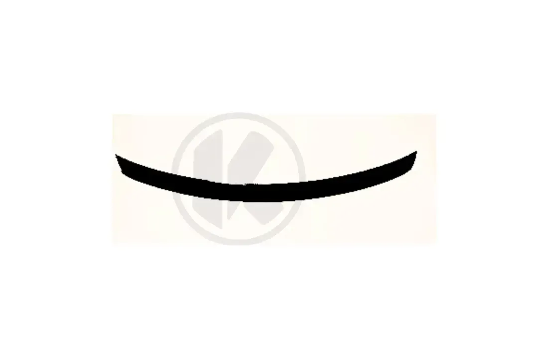 a2187900388 b   rear spoiler carbon
